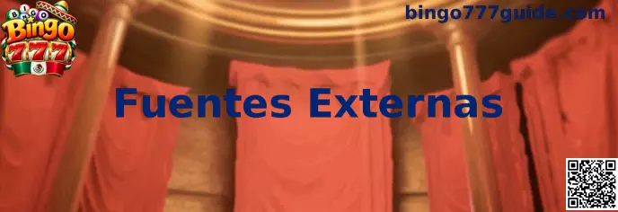Fuentes Externas Seguridad Bingo 777