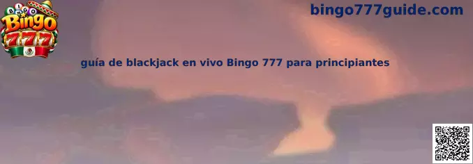 Guía de blackjack en vivo Bingo 777 para principiantes