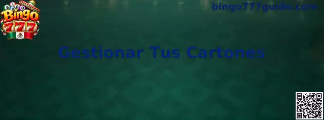 Guía visual de Bingo 777 para organizar cartones digitales y mantener una experiencia de juego controlada