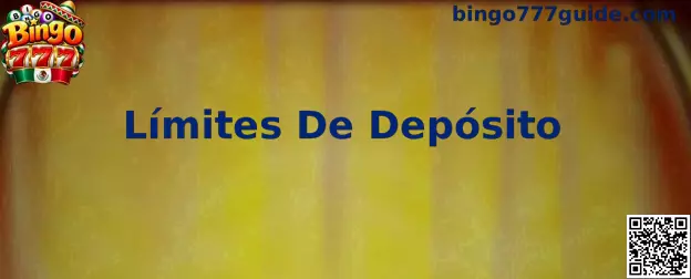 Guía de Bingo 777 para establecer límites de depósito y controlar el presupuesto de juego
