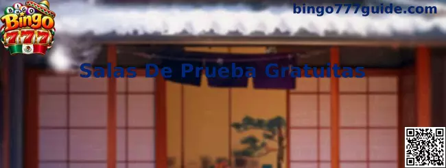 Salas De Prueba Gratuitas de Bingo 777 con cartones virtuales y bolas numeradas