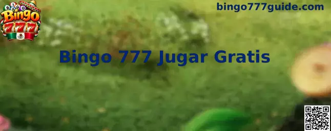 Experiencia gratuita de Bingo 777