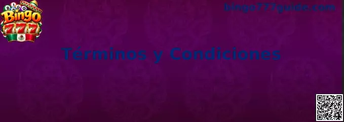 Información sobre los Términos y Condiciones de Bingo 777